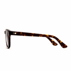 Otis Sunglasses Summer Of 67 Eco -clothing shop 142 2006 C 1800x750 5167181c dfca 4bc4 aaf0 5e8a1cf5e722