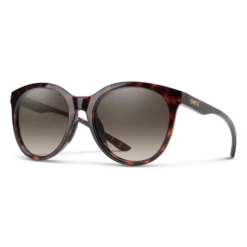 Smith Sunglasses Bayside -clothing shop 20367208654HA 01