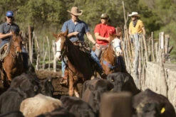 Seager Mens Woven Whippersnapper -clothing shop 230123 VALASEK 001967 1500x c8c91e27 834c 48f6 aedd 88dd7b34a232