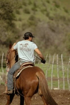 Seager Mens Shirt Farrier -clothing shop 230124 VALASEK 002731 1500x 44ab014e c883 4dcd a743 7af24b69bcad