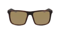 Dragon Sunglasses Meridien LL