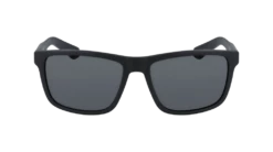 Dragon Sunglasses Reed