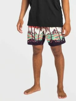 Volcom Mens Boardshorts Novelty -clothing shop A2512201 LVC 5