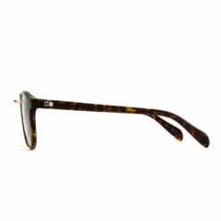 Otis Sunglasses A Day Late -clothing shop A DAY LATE 25 1801P A 1200x500 Matte Dark Tort Brown Polar 3