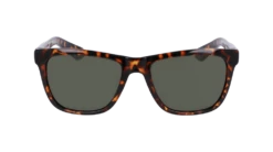 Dragon Sunglasses Bishop
