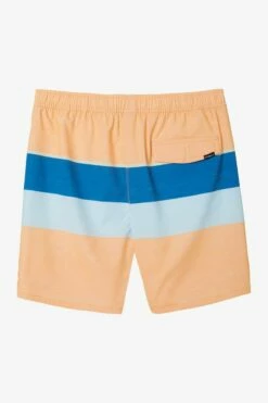 Oneill Mens Boardshorts Hermosa Volley 17" -clothing shop SP2106016 CAN 6 1200x1200 becf37d6 4a58 4b53 80f3 37f3d2fb1ae5