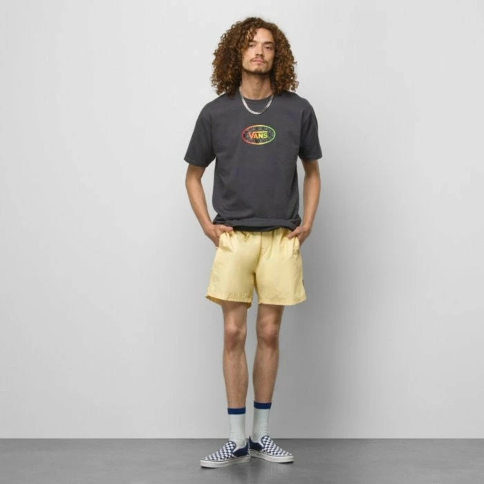 Vans Mens Boardshorts Primary Volley II 17" 16 Vans Mens Boardshorts Primary Volley II 17" - Image 14