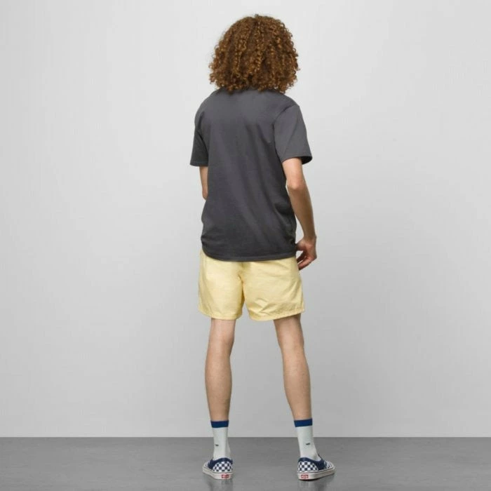 Vans Mens Boardshorts Primary Volley II 17" 17 Vans Mens Boardshorts Primary Volley II 17" - Image 15