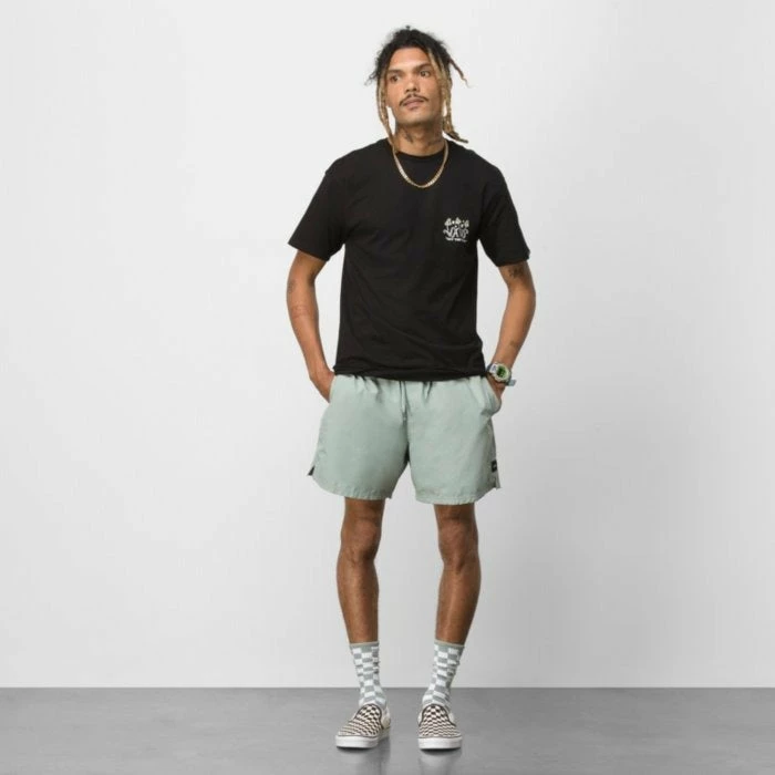 Vans Mens Boardshorts Primary Volley II 17" 12 Vans Mens Boardshorts Primary Volley II 17" - Image 10