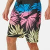 Rip Curl Mens Boardshorts Ala Moana 19"