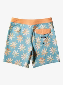 Quiksilver Mens Boardshorts Surfsilk QS 69 18" -clothing shop eqybs04772 quiksilver f bje7 bck