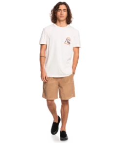 Quiksilver Mens Shorts Taxer Corduroy 18.5" 30 Quiksilver Mens Shorts Taxer Corduroy 18.5" -clothing shop eqyws03773 quiksilver w ckk0 frt9