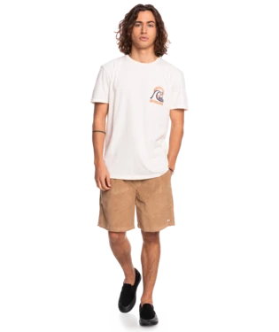 Quiksilver Mens Shorts Taxer Corduroy 18.5" 11 Quiksilver Mens Shorts Taxer Corduroy 18.5" - Image 9