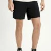 Brixton Mens Shorts Choice E-Waist